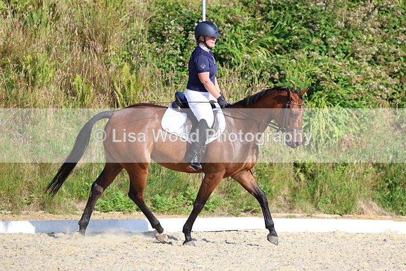 3E7A3565 - Class 2: Intro 1 2024 Section B