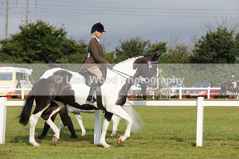 1X9A2824 - Class 25: Ridden Plaited Coloured Horse