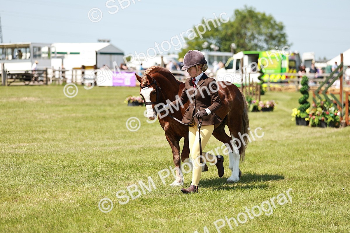 SBM_15545 - Class 108-109 - BSPS LIHS Open Gradle & Nursery Stakes