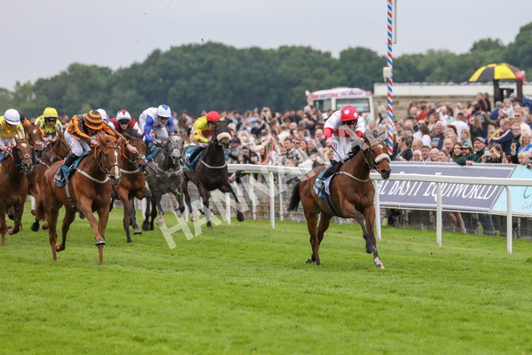 250524-Race 7-Feel The Need-3359 - Race 7 5.05pm Alf Duffield Memorial Handicap