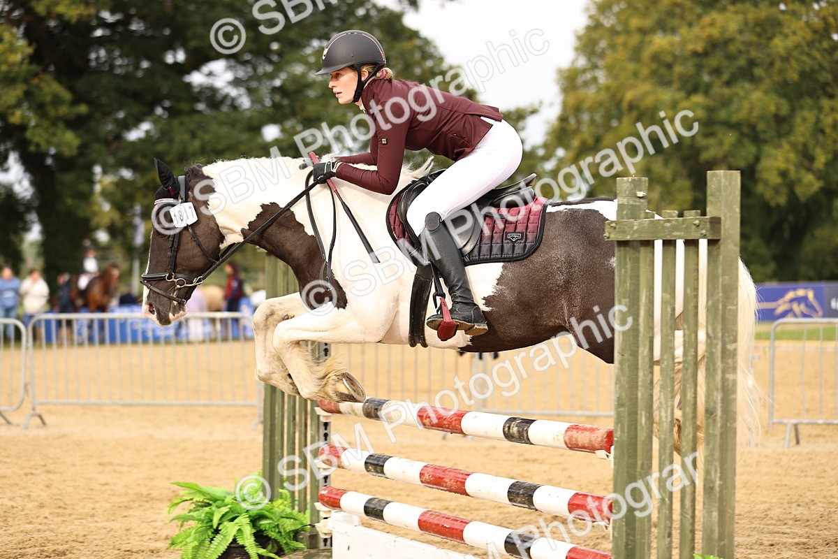 SBM_58221 - J41 - Grand Tour Horse & Pony 95cm