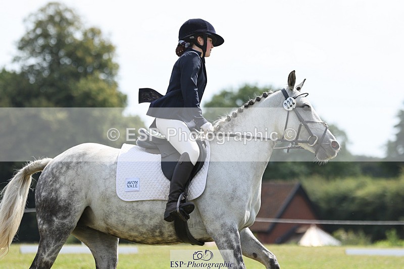 240824X-121953-27082 - D80 Section G and H 12.00 to 13.30