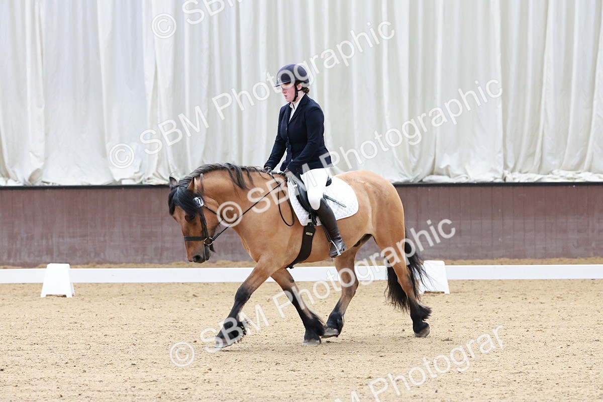 SBM_003205 - Intro 2