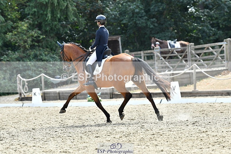 260802A-153050-07442 - Intermediate Bronze