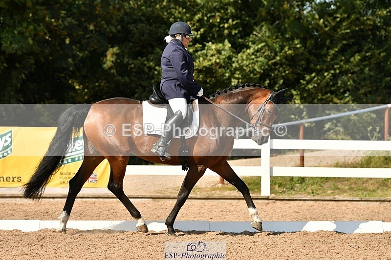 250817-155457-11386 - 211-Carey.CollettRubin's.Fanfare