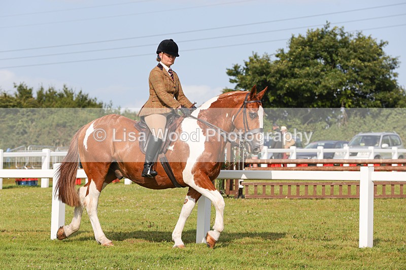 1X9A3113 - Class 27:  Ridden Native/Trad Coloured Horse