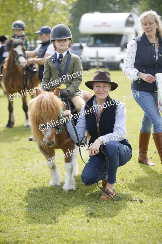 20260426-1902 - Class 7 - Pony Judge Would Most Like To Take Home