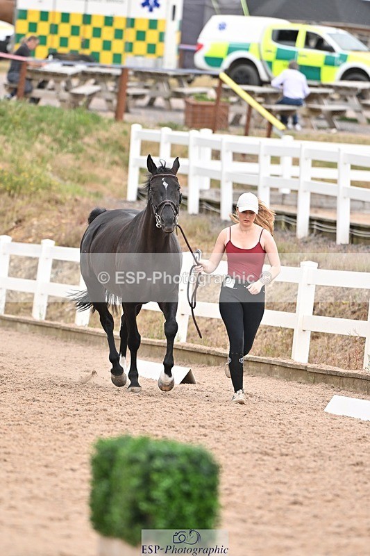 250716-161239-02495 - Trot Up 3.30 to 4.30