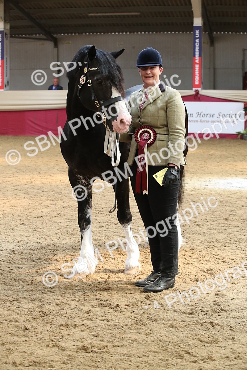 SBM_05422 - Class 8R - Regional IH Veteran