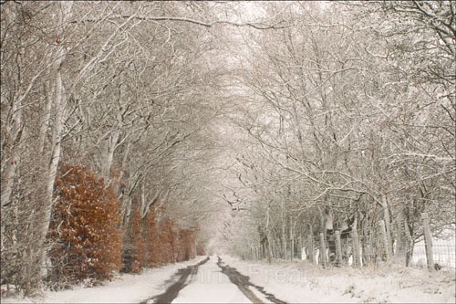 Morton Lane in Winter - Around Thornhill