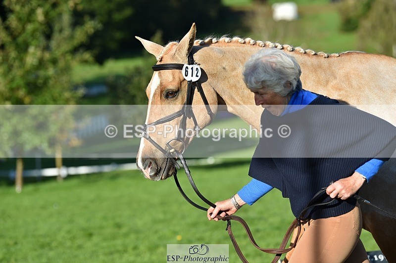 231022-100212-22201 - 612-CORRIEVIEW.MERLIN.MAGIC-Jane.Rogers-TrotUp+SJ