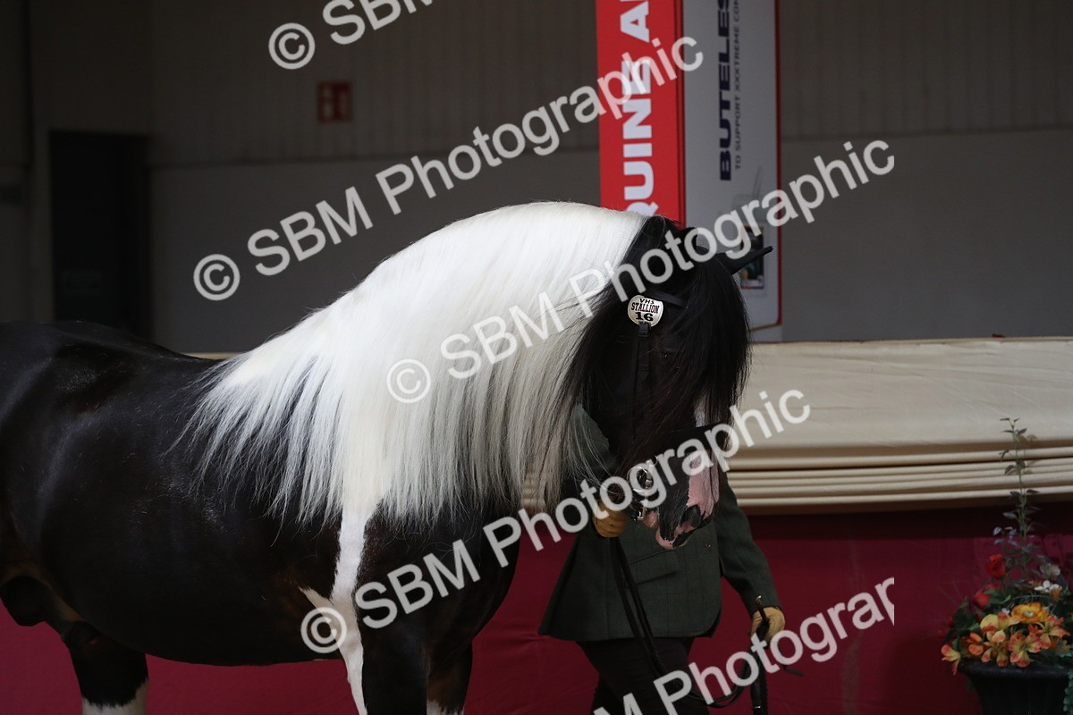 SBM_06216 - Class 9R Regional- IH Pre Vet