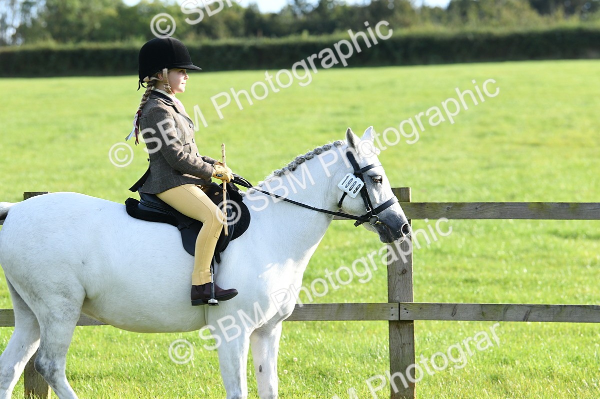 SBM_52361 - S22 - 1st Ridden Show & Show Hunter Pony