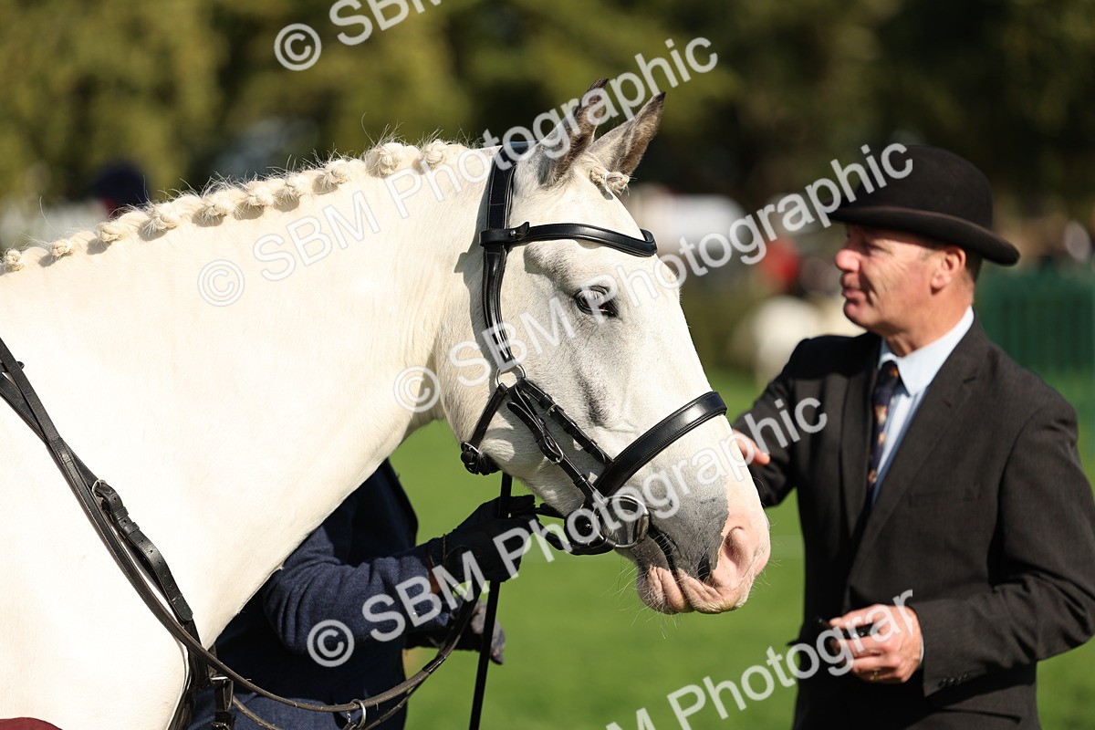 SBM_50085 - S34 - Novice & Newcomers Working Hunter