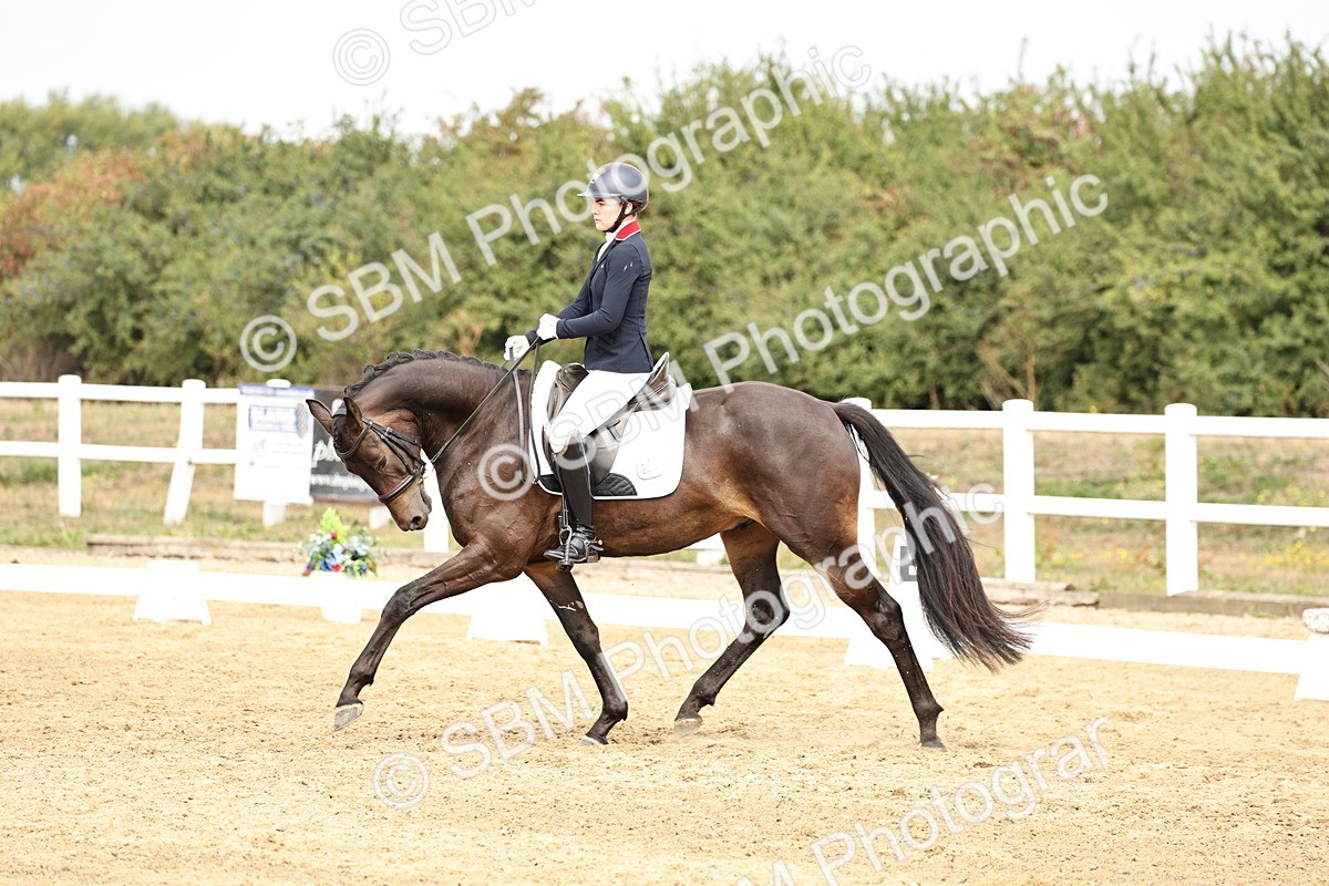 SBM_012408 - Class 2 - Prelim 5