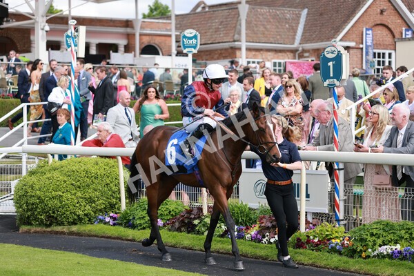 yr21052022r5-6 - Race 5: 4:07pm Phoebe Johnson Celebration EBF Restricted Novice Stakes