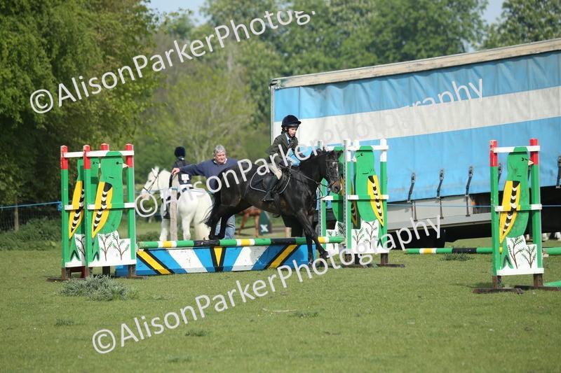 20260426-0206 - Class 13 - Rookie Jumping 50cm