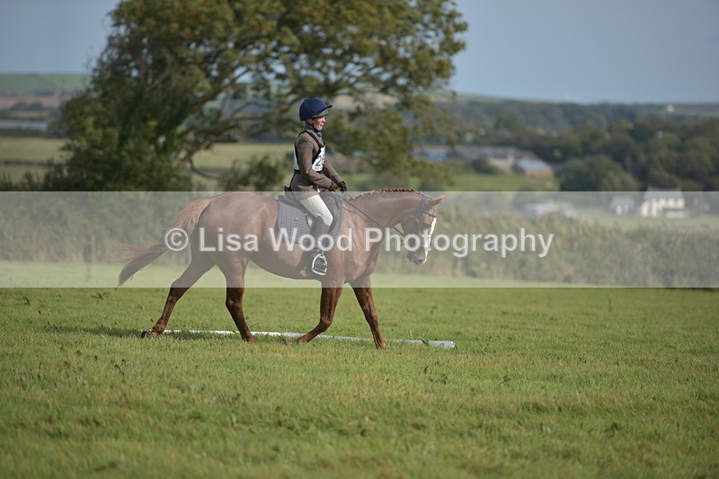 RAY_7885 - Class 2B: Trekenning Open: Dressage