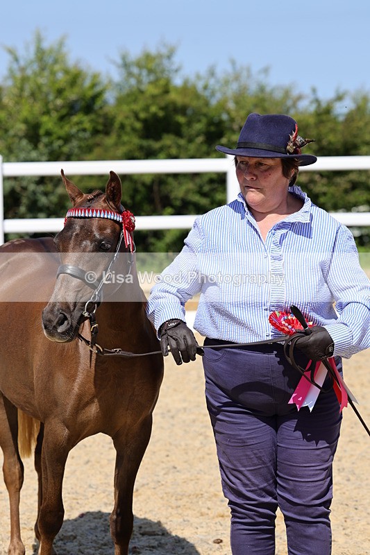 1X9A1109 - Class 8: Open Show/Hunter Pony not to exceed 153cm