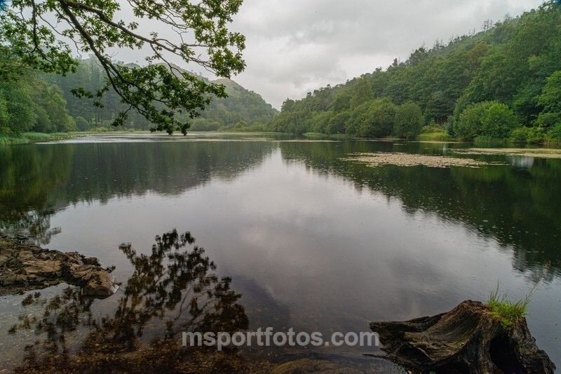 Esthwaite Water - Travel, city/land scapes