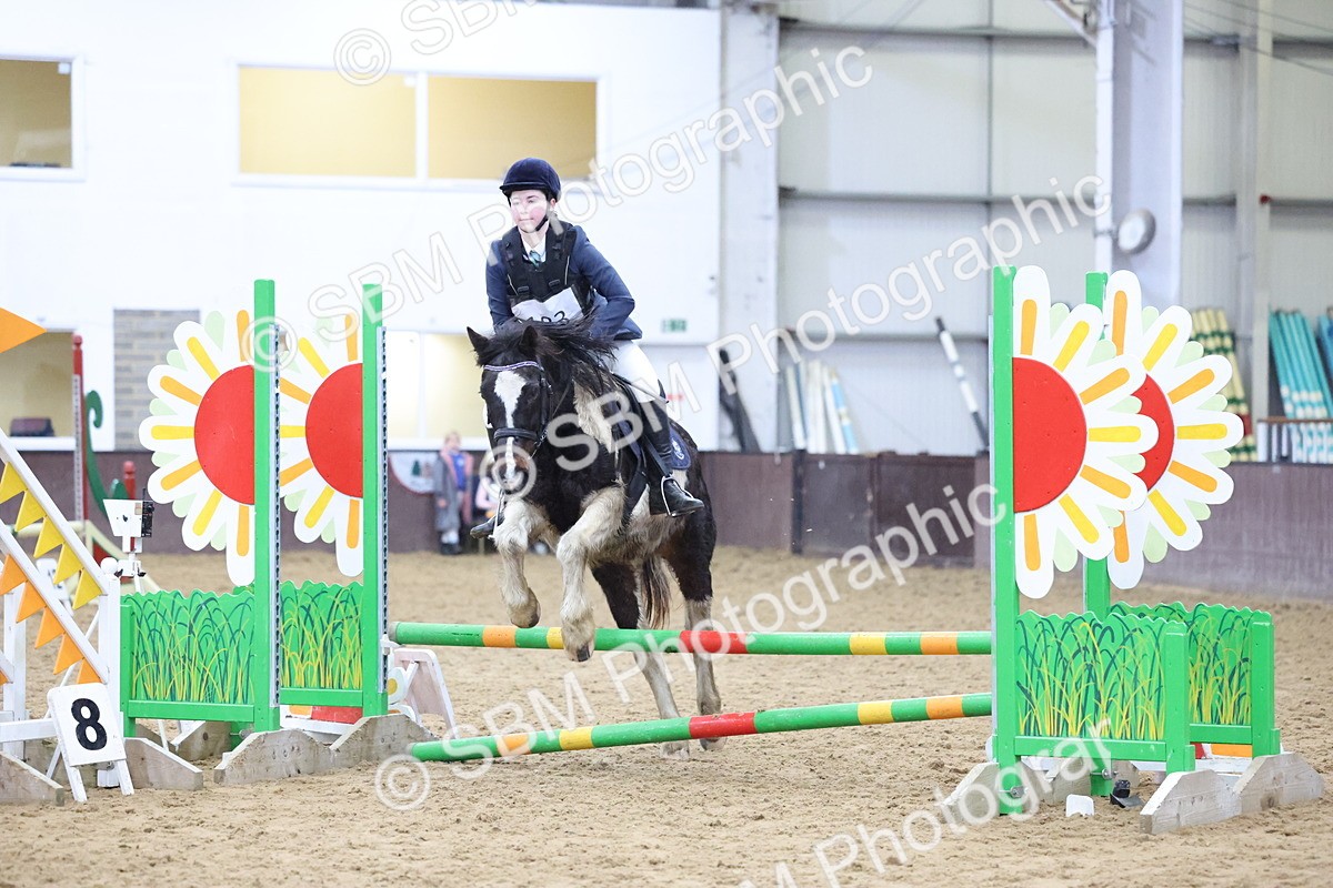 SBM_001183 - Class 3 - Christmas Tree Stakes - 60cm