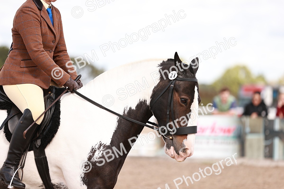 SBM_14477 - Class 410 - Grassroots Ridden - Horse