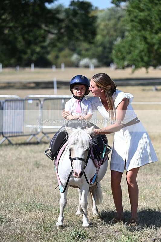 WJ7_1375 - Class 41 Prettiest Mare