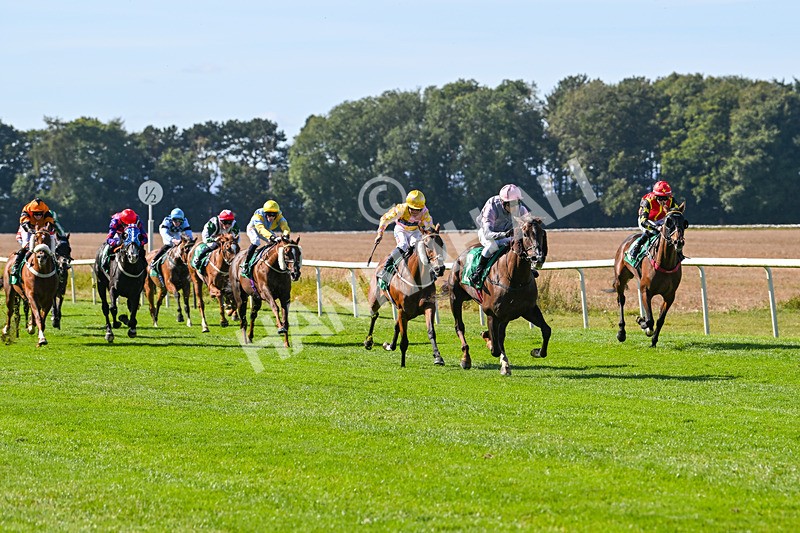 160924-Race 1-Susiesparkle-2485 - Race 1