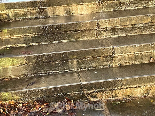 PhotoMynottART119 - Photo Mynott ART Images