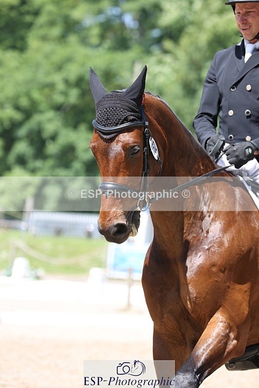 230526-124842-06257 - 162-MONBEG_GOLD_DUST-Michael_Owen-WEDTrotUp+DR