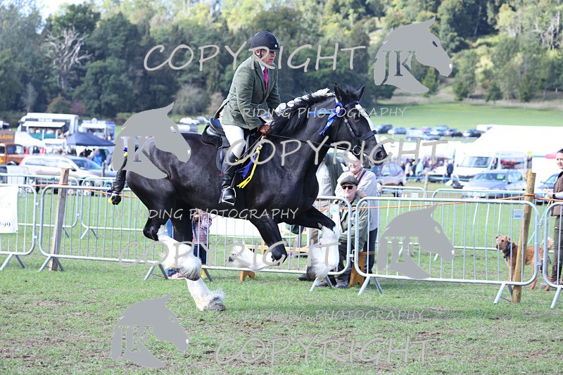 APP_3783 - Class 8 Ridden Class