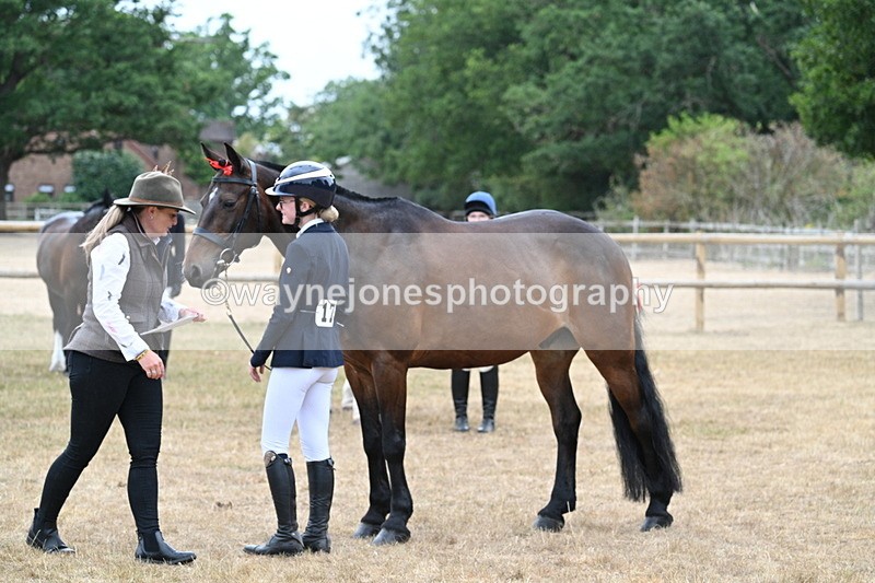 WJ7_9775 - Class 5a Most Handsome Gelding (above 14.2hh)