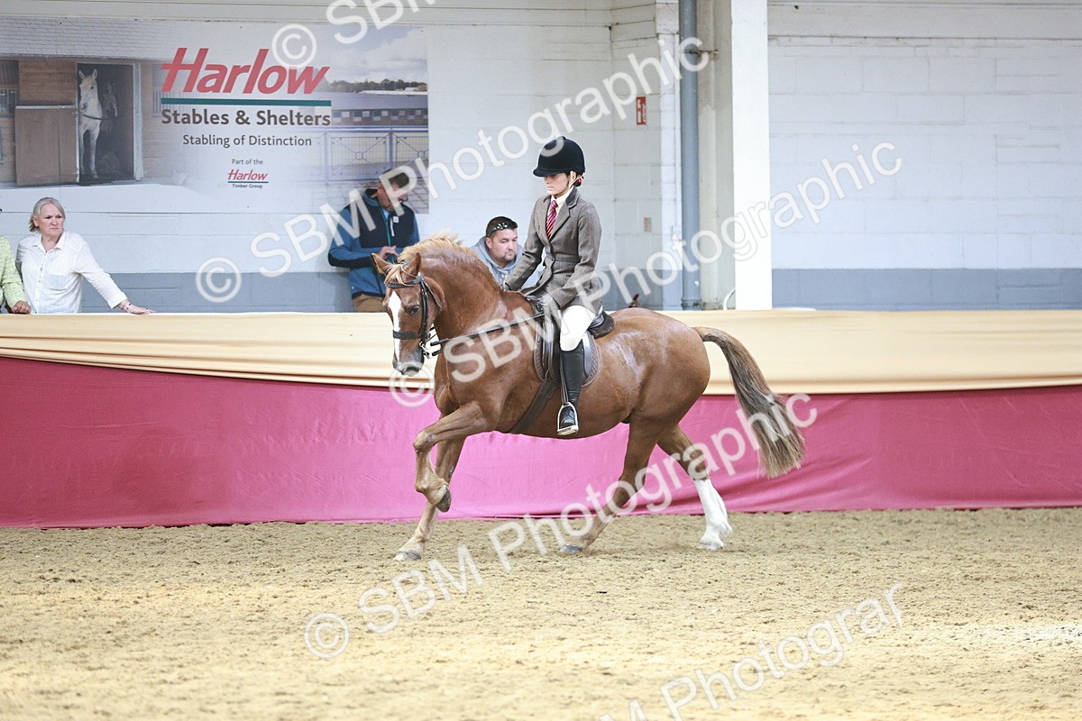 SBM_07133 - Class 10R - Regional Ridden Diamond