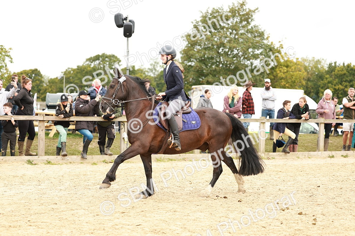 SBM_58135 - J11 - Junior Pony 50cm Championship