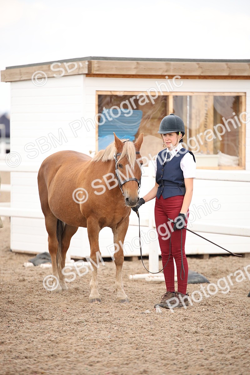 SBM_08259 - Class 27 - IH Competition Horse-Pony