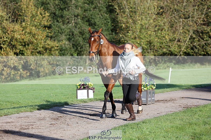 241027-091400-15137 - 462-Helen.Jackson-ADAMS.PARK