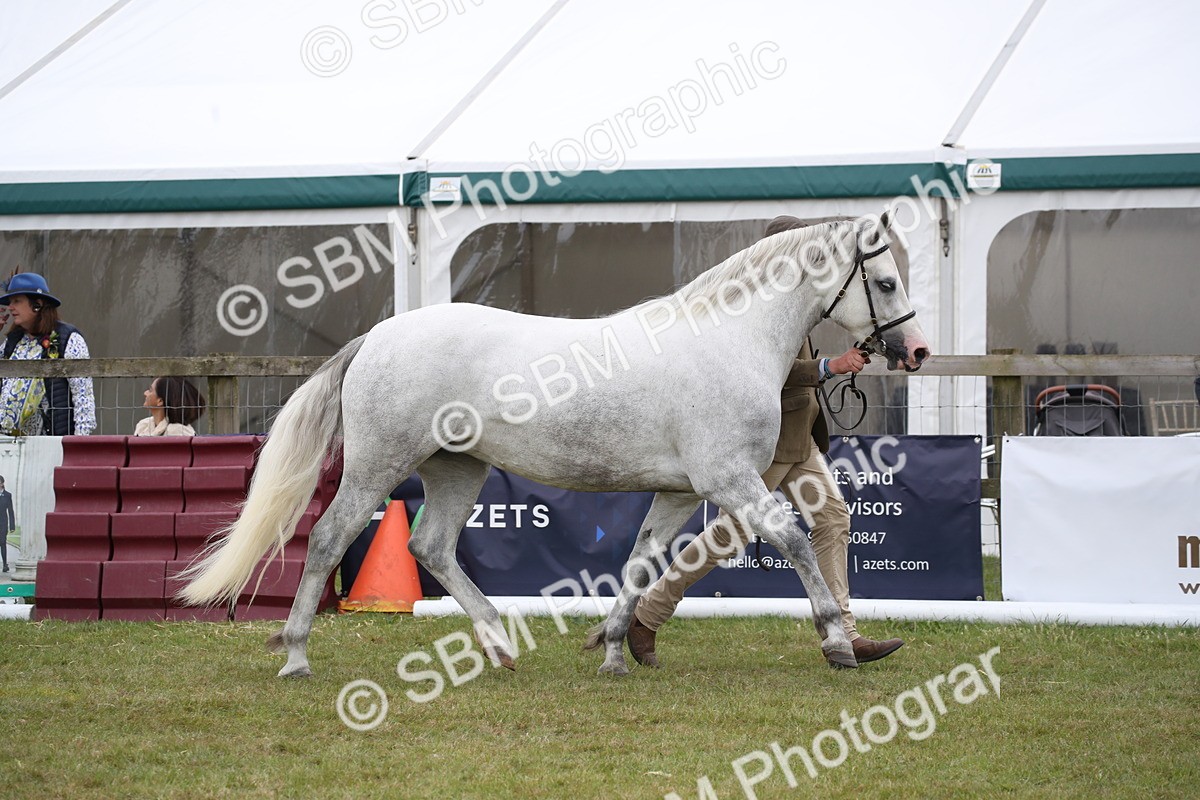 SBM_09788 - Ch 50 - Price Family Supreme In Hand