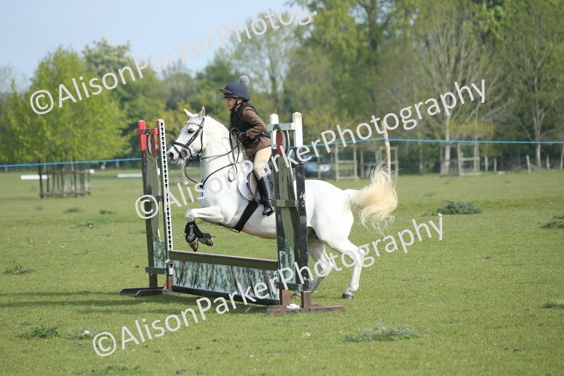 20260426-0119 - Class 13 - Rookie Jumping 50cm