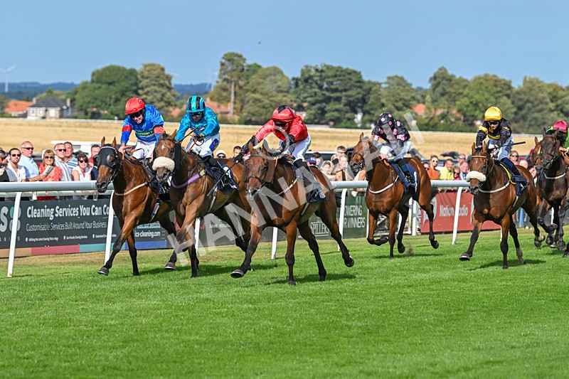 140825-Race 6-Sunny Orange-1807 - Race 6