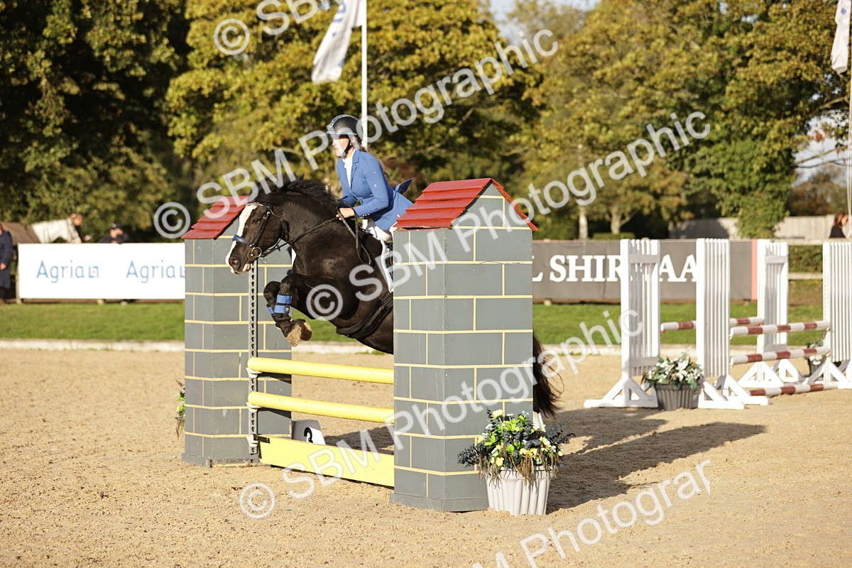 SBM_29986 - j52 - Open 80cm