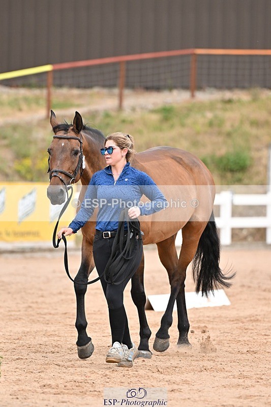 250716-151842-01860 - Trot Up 2.30 to 3.30