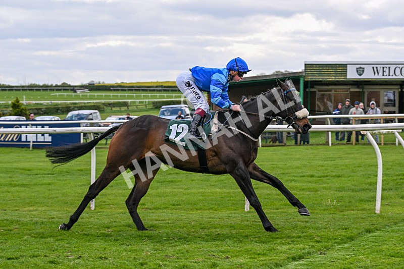 110526-Race 1-Filey Beach-0301 - Race 1 2.30pm Racing Welfare Reminiscence Day Apprentice Handicap