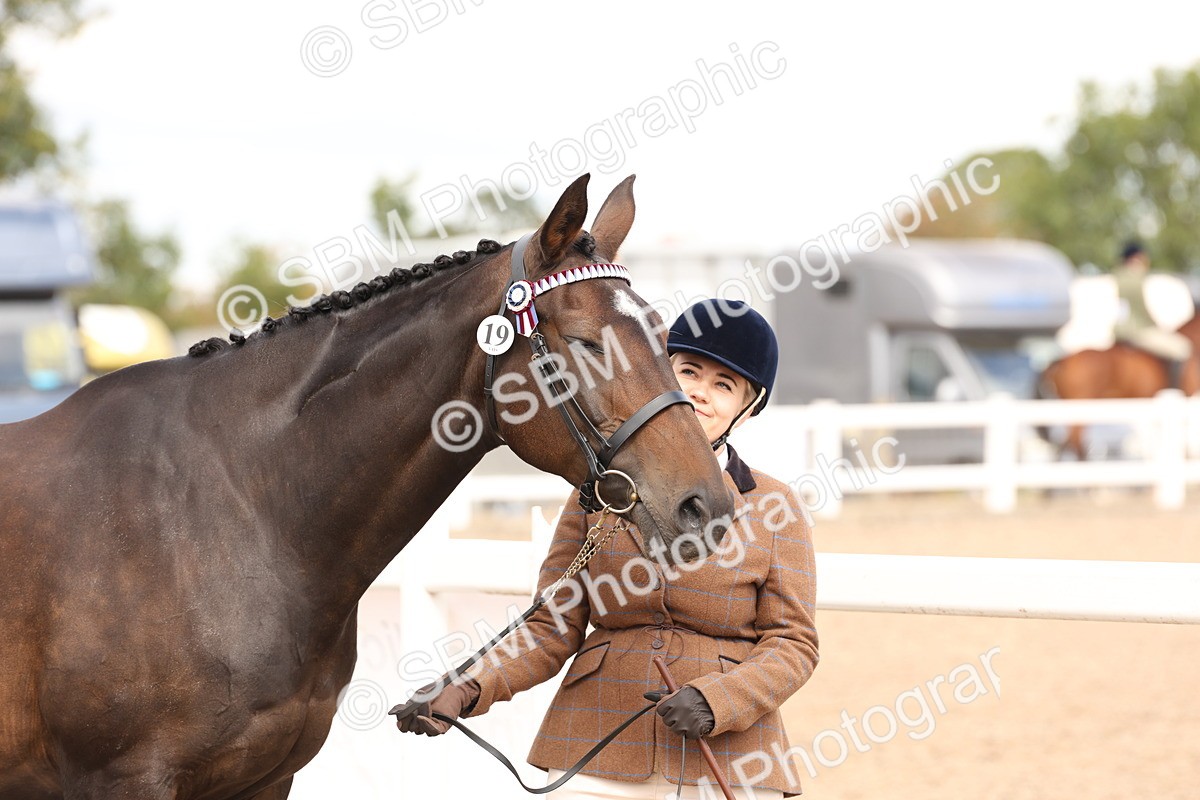 SBM_14638 - Class 208 - IH Veteran Horse