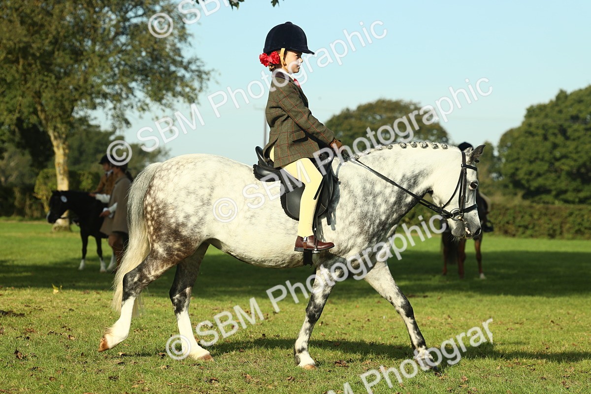 SBM_59215 - S38 - Starters Ridden Showing