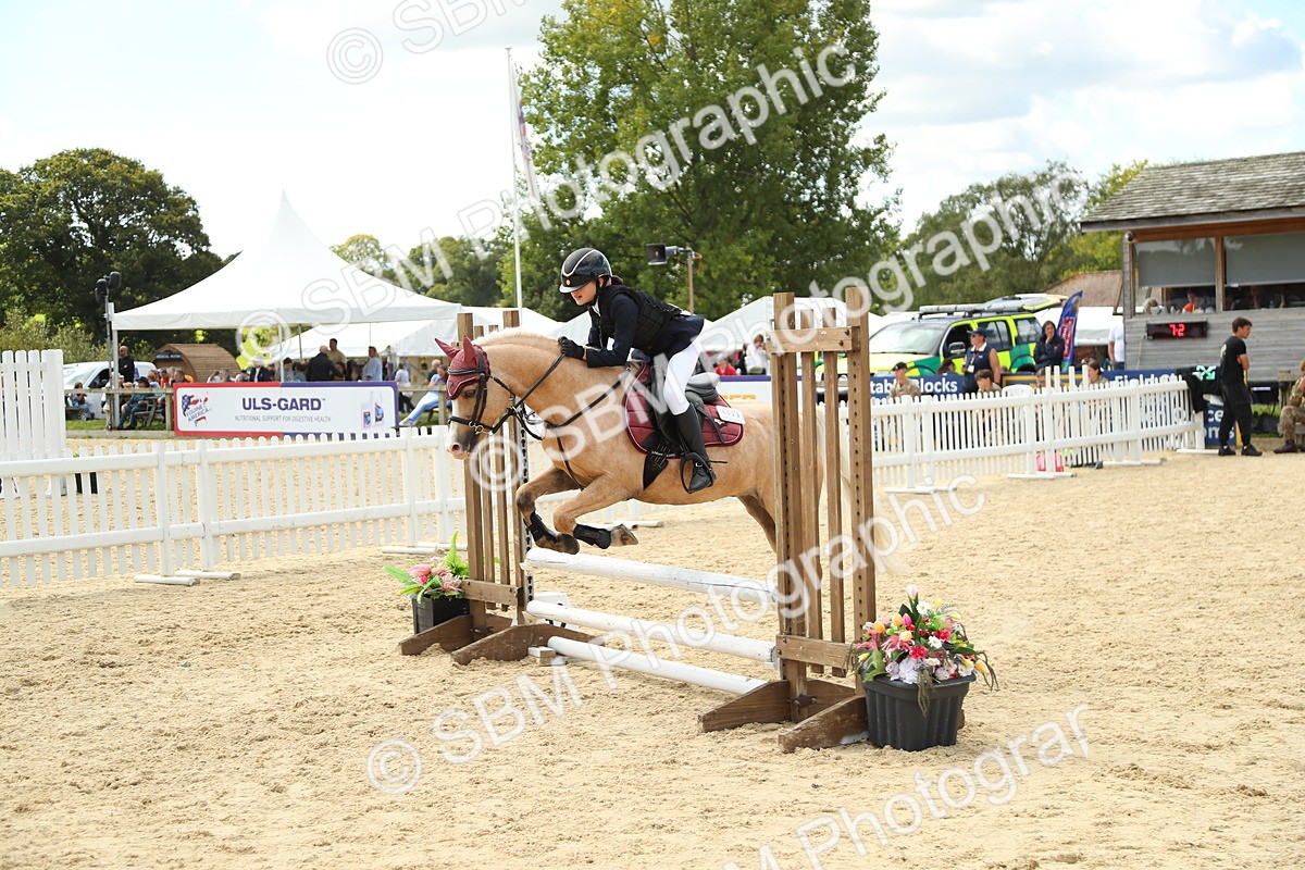 SBM_41429 - J6 - Junior Pony 55cm Championships