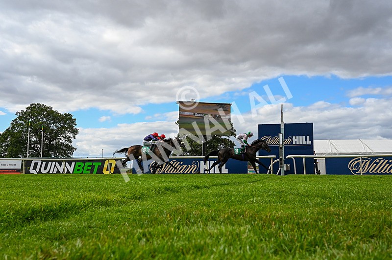 010826-Race 6-La Peregrina-4995 - Race 6 16.22pm Vision PVC Carlton Miniott Thirsk Handicap