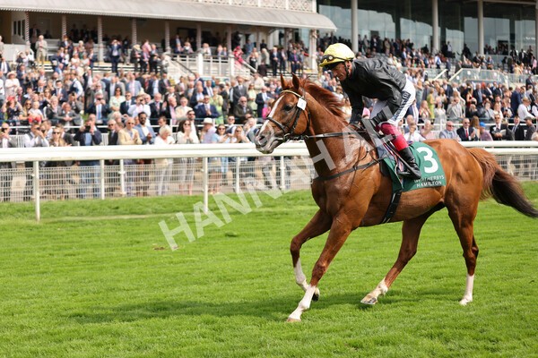 yr20082021r2-76 - Race 2 2.25pm Weatherbys Hamilton Lonsdale Cup (British Champion Series race)