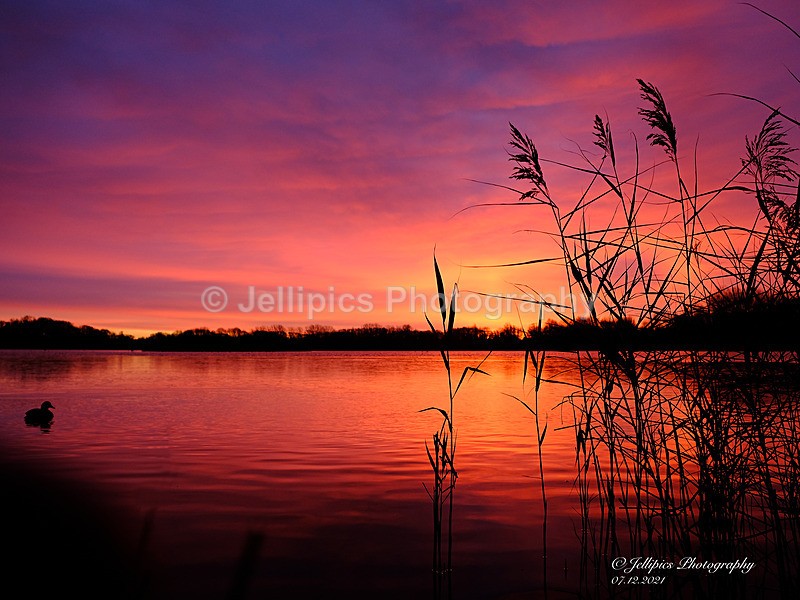  - Landscapes