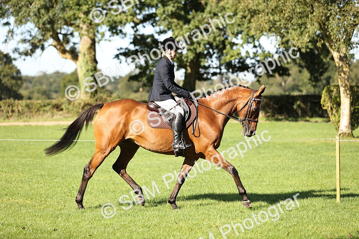 SBM_16878 - S2 - TSR Ridden Pony Showing