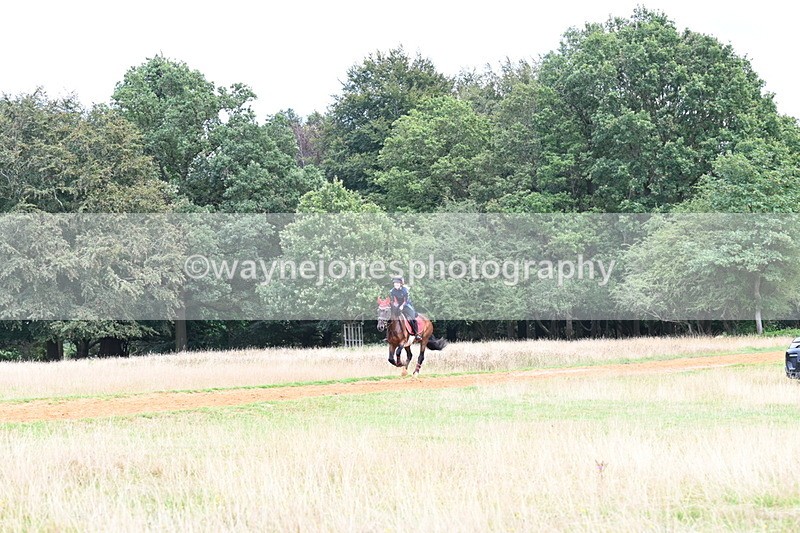 DSC_8896 - Time at Statue 14:33 to 15:10